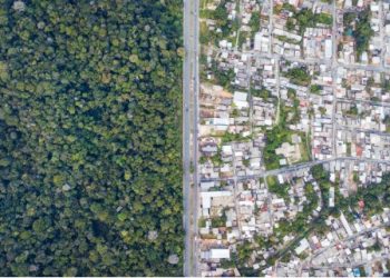Brasil anuncia adhesión de cinco países a plan de fondos soberanos para la salud climática de las selvas