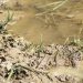 Sector de Ciudad de México afectado por pozo de agua contaminado