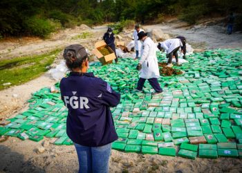 Destruyen droga valorada en más de $47 millones e incautada en diversos operativos