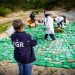 Destruyen droga valorada en más de $47 millones e incautada en diversos operativos