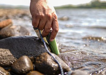 Medio Ambiente y ASA comienzan investigaciones por muertes de camarones