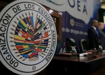 Ecuador pide en la OEA revisar normas de asilo diplomático