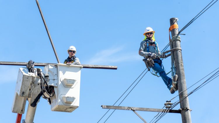 Al inicio de la privatización de la distribución de energía eléctrica en el país en los años 1990, arrancó en niveles entre el 68 y el 70 %.