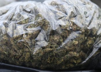 Dinamarca desmantela los puestos de cannabis de un conocido barrio «hippie» de Copenhague