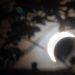 Eclipse total del Sol recorrió América del Norte