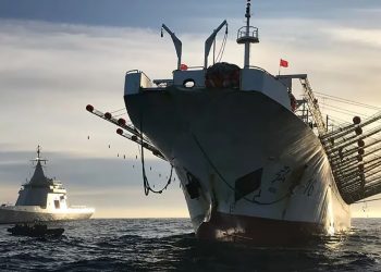 Confirman muerte de ocho personas tras colisión de barcos en sur de China
