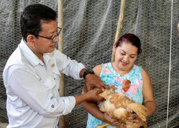 Mujeres emprenden con proyectos productivos