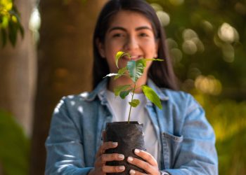 Medio Ambiente ejecuta el segundo día del «intercambio verde» en pro de los ecosistemas
