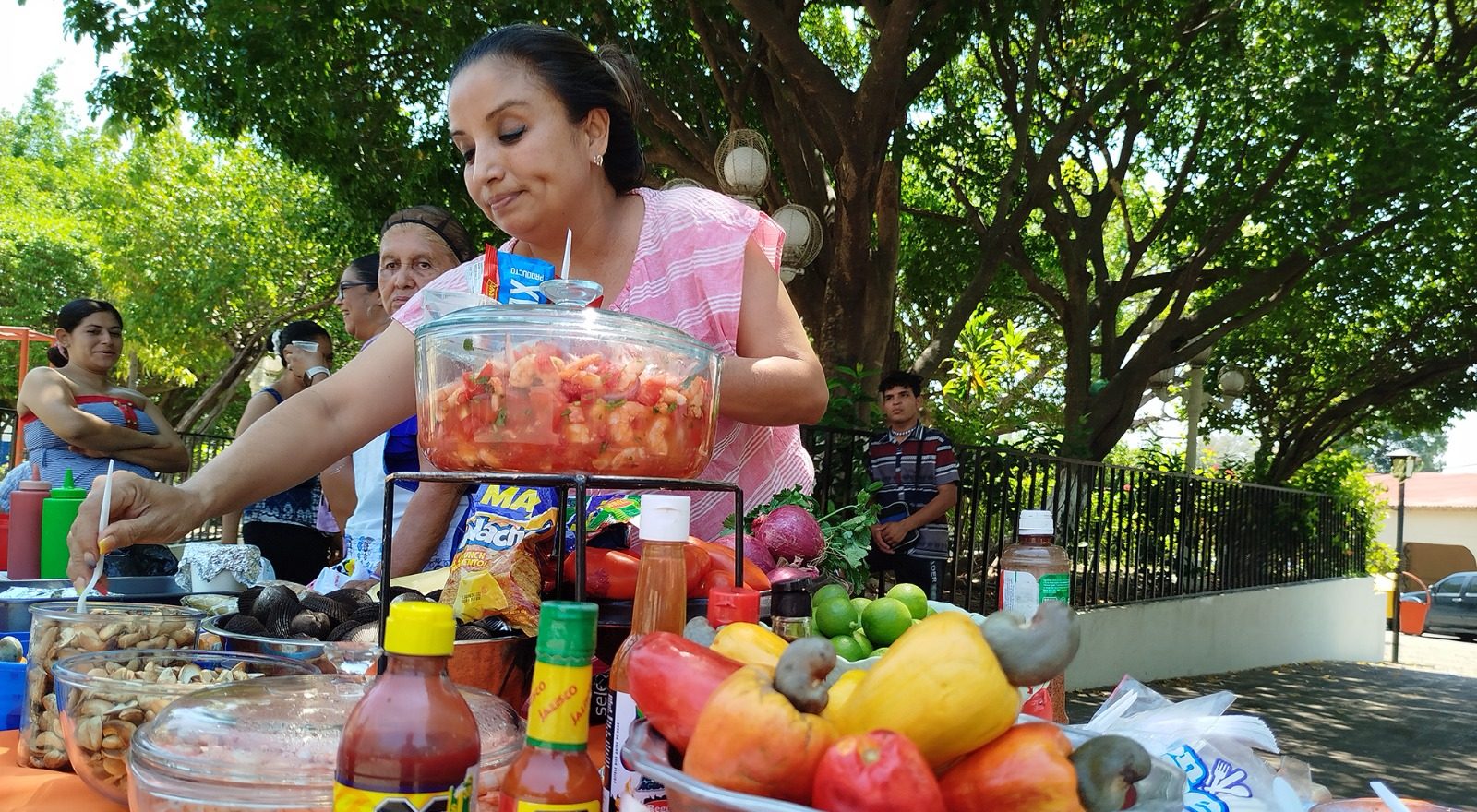 Celebrarán Los 15 Años Del Festival Del Marañón En Tecoluca, San 