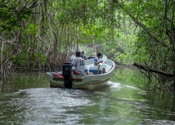 CENDEPESCA repuebla con larvas de camarones la franja costera para beneficiar a pescadores