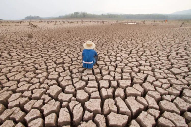 Los diez bancos han decidido comprometerse más en la lucha contra el cambio climático alineando sus operaciones con los objetivos del Acuerdo de París.