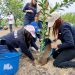 Prevén plantar 1,000 árboles este año en zona de la FMO-UES