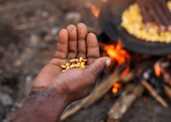 Cuarta parte de hogares brasileños sufría de inseguridad alimentaria en 2023