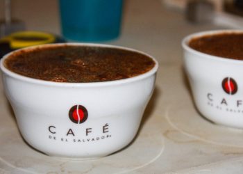 Inicia etapa de prejurado en el certamen Taza de la Excelencia 2024