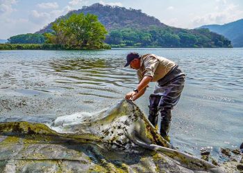 Medio Ambiente retira cianobacterias del lago de Coatepeque
