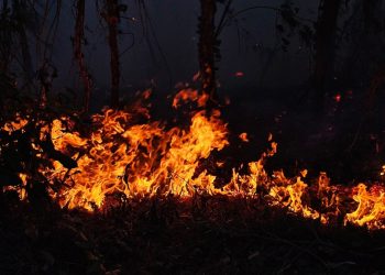 Este año ha habido 15 % más de incendios en El Salvador