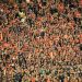 Águila se muda al estadio Cuscatlán para lo que resta del Clausura