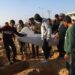 Número de palestinos muertos en Gaza se eleva a 35.386, dicen autoridades de salud