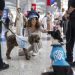Perros adiestrados para desestresar a los pasajeros en el Aeropuerto de Estambul