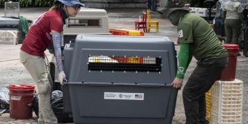Costa Rica clausura sus dos zoológicos estatales