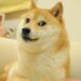 Muere Kabosu, la perrita que inspiró memes y la criptomoneda «Dodgecoin»