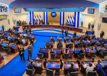 Nuevas comisiones legislativas inician sesiones de trabajo semanal