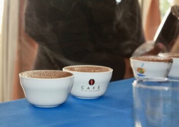 Mañana se elige el mejor café de El Salvador