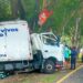 Un muerto y un lesionado tras choque de un camión contra un árbol en Cuscatlán