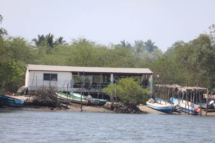 Foto: David Martínez