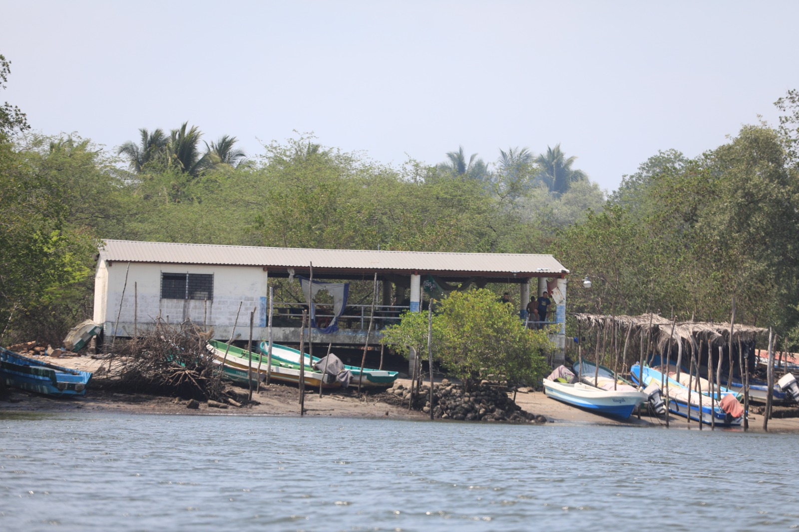 Comunidad de Tasajera vedó zona pesquera como apuesta de sostenibilidad ...