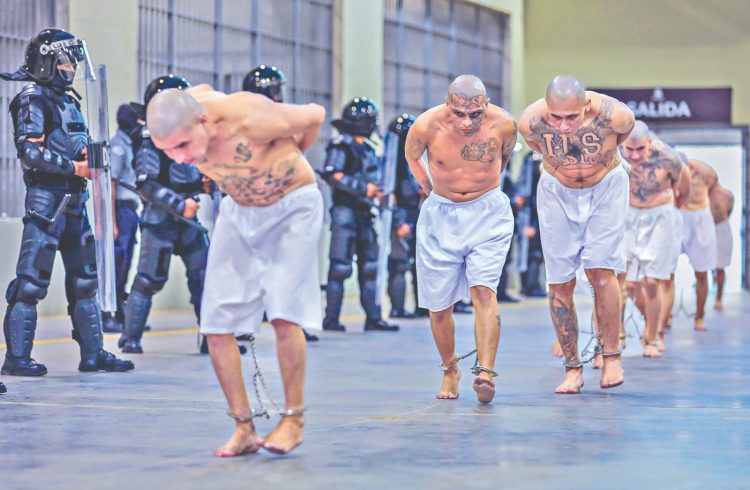 Terroristas. Las
autoridades han
detenido a 80,044
pandilleros en
el régimen de
excepción.