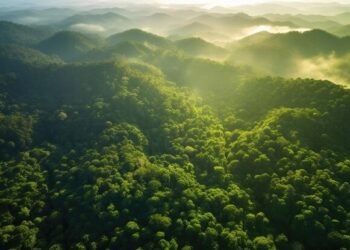 Honduras declara emergencia ambiental para proteger sus bosques y fuentes de agua