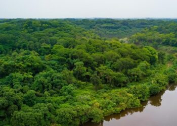 La Corte IDH lleva el debate sobre las emergencias climáticas a la Amazonía brasileña
