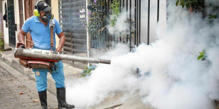 La fumigación térmica destruye al zancudo adulto, detalla el Minsal. Foto: Ministerio de Salud.