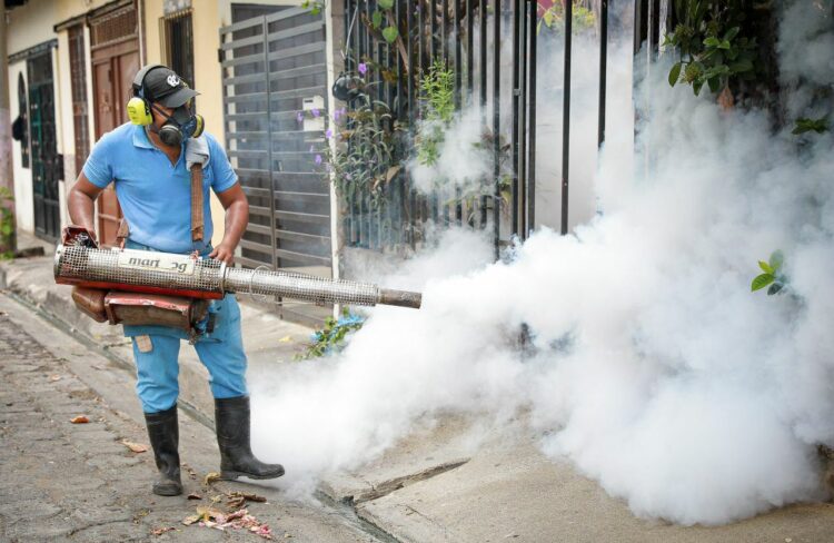 La fumigación térmica destruye al zancudo adulto, detalla el Minsal. Foto: Ministerio de Salud.