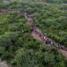Venezolanos, ecuatorianos y haitianos representan el 78 % de los cruces irregulares en selva del Darién