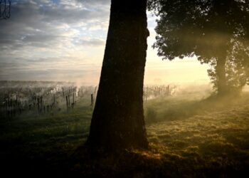 La ONU predice la llegada de La Niña, con sus temperaturas más frías