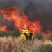 Fuego sin control en California genera temor de peligrosa temporada de incendios