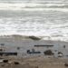 Al menos tres muertos por tormenta tropical Alberto en México