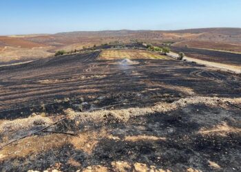 Al menos 12 muertos y decenas de heridos por un incendio forestal en el sureste de Turquía