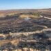 Al menos 12 muertos y decenas de heridos por un incendio forestal en el sureste de Turquía
