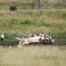 Mueren tres personas en accidente de un avión privado en Francia