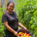 Mujeres producen hortalizas protegidas en La Palma