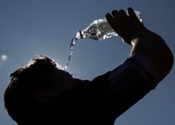 Copa América y olas de calor: ¿cómo cuidarse de las altas temperaturas?