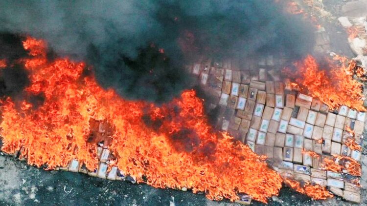 Fiscales y policías garantizaron la destrucción de la droga.