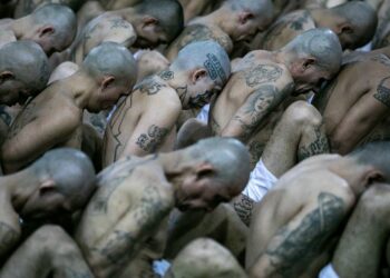 Cristosal dice que capturados en régimen deben estar libres