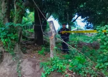 Autoridades localizan arma de fuego en La Libertad