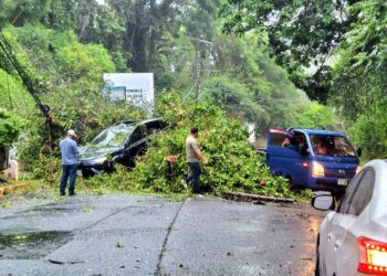 Realizan rescate de persona atrapada en vehículo tras impacto de rayo sobre árbol de gran magnitud