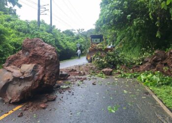 Fovial atendió este viernes más de 20 emergencias por derrumbes y árboles caídos en carreteras