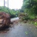 Fovial atendió este viernes más de 20 emergencias por derrumbes y árboles caídos en carreteras